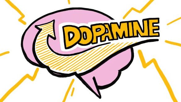 Dopamine Is A Happy Chemical That Evokes Pleasure