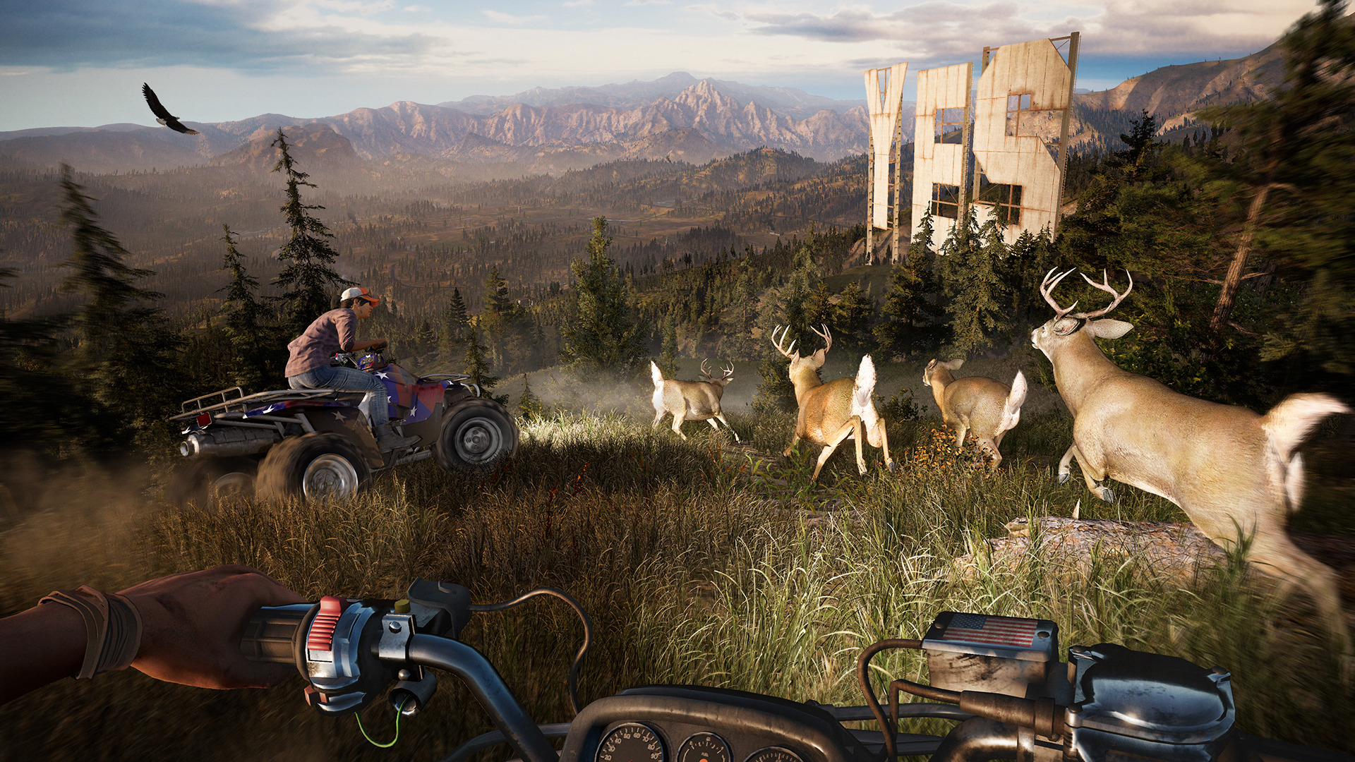 Far cry 5 фото