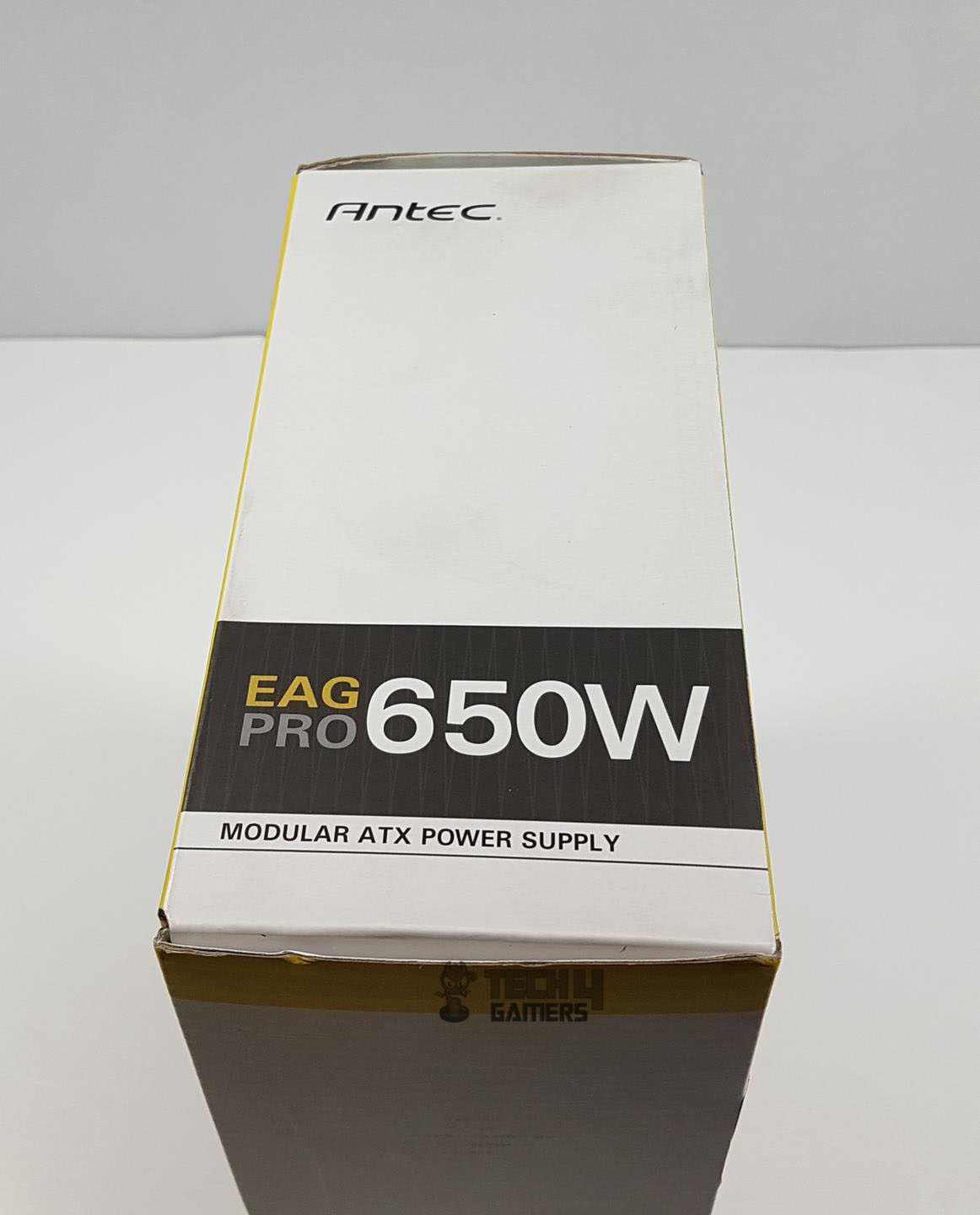 EAG PRO 650W Unboxing