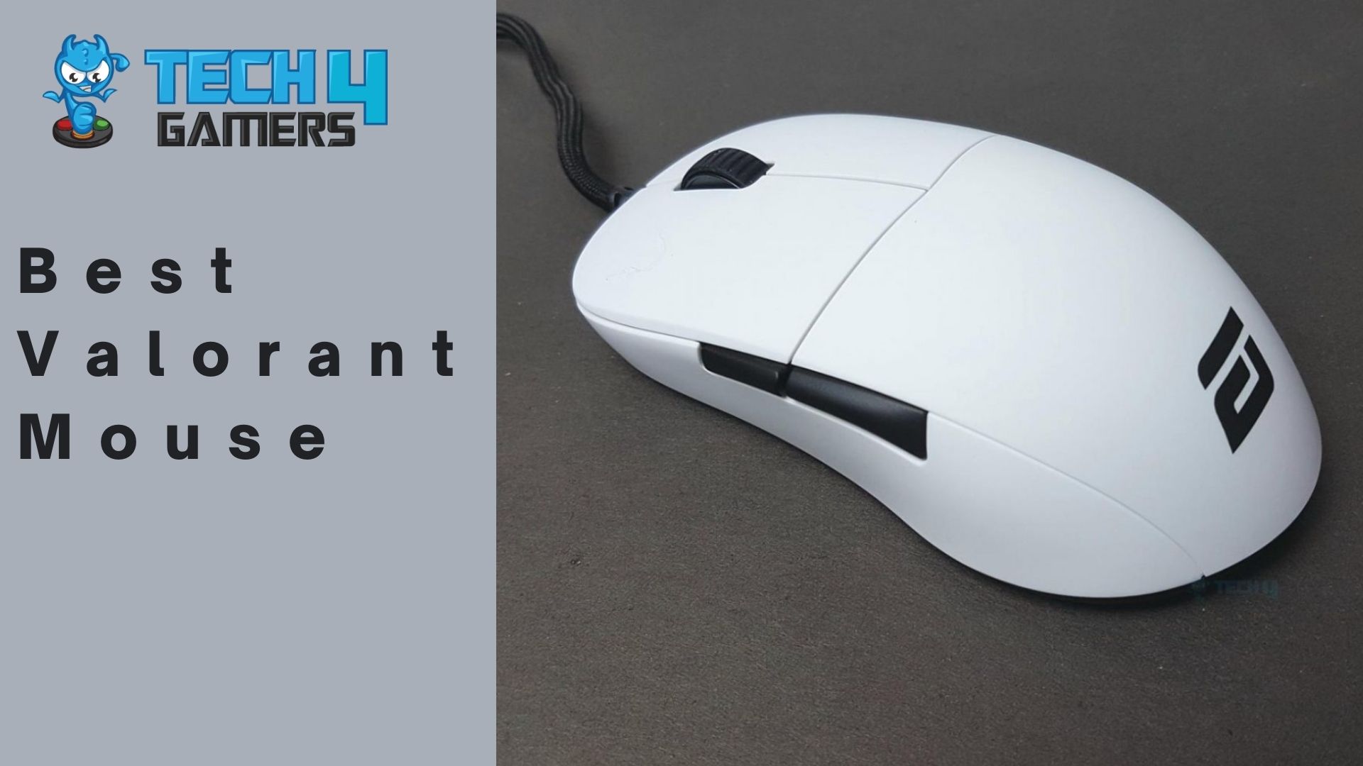 good mouse for valorant