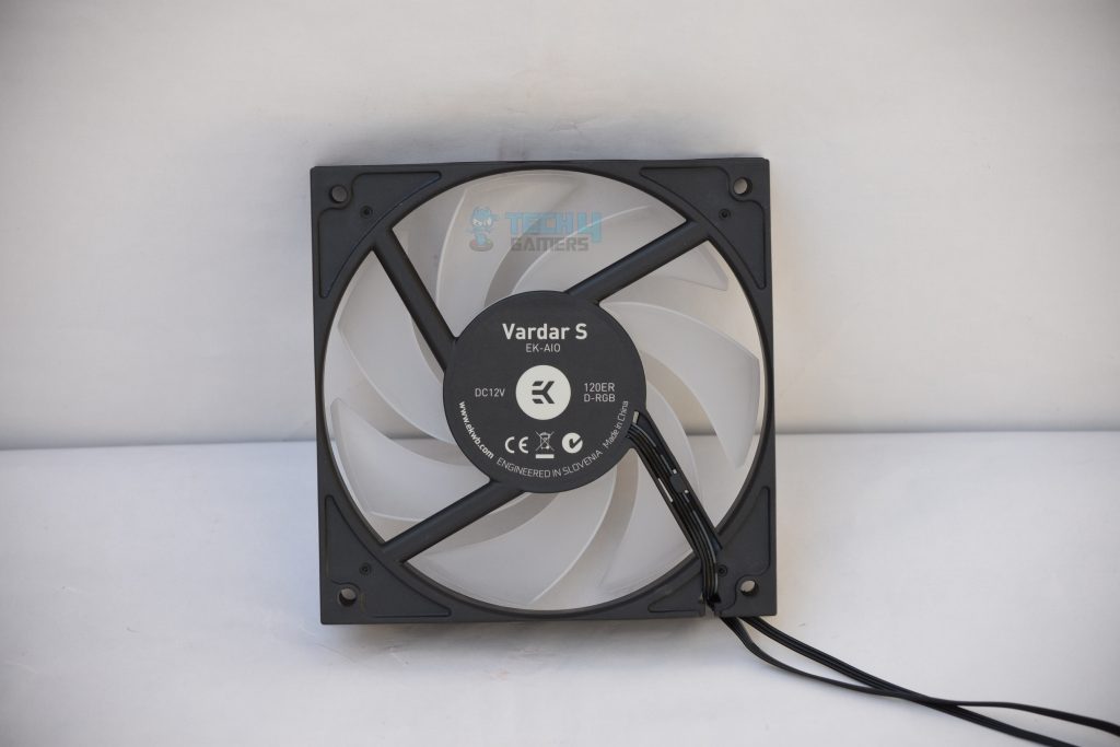 Rear Side Of The Fan