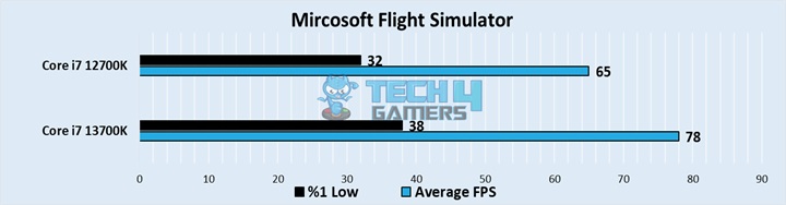 Mircosoft Flight Simulator