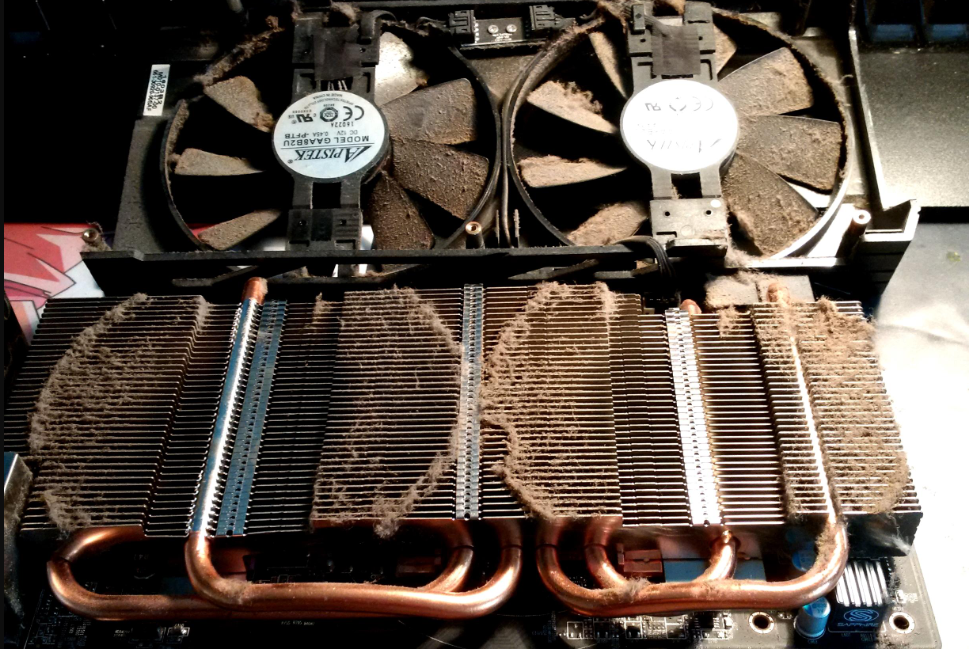 Dust accumulation on a GPU.