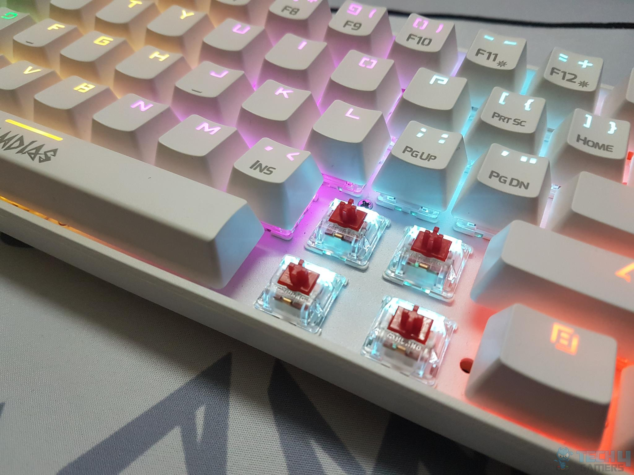 Evincing the GAMDIAS HERMES E4 Keyboard’s ‘Red’ Mechanical switches.