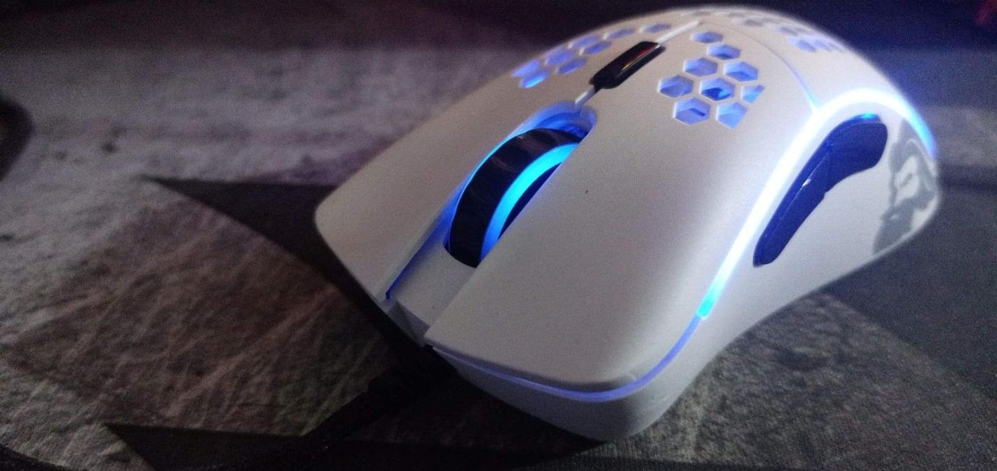 Glorious PC Gaming Race Model D Gaming Mouse Review