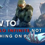 Halo Infinite Not Launching PC