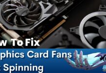 Graphics Card Fans Not Spinning