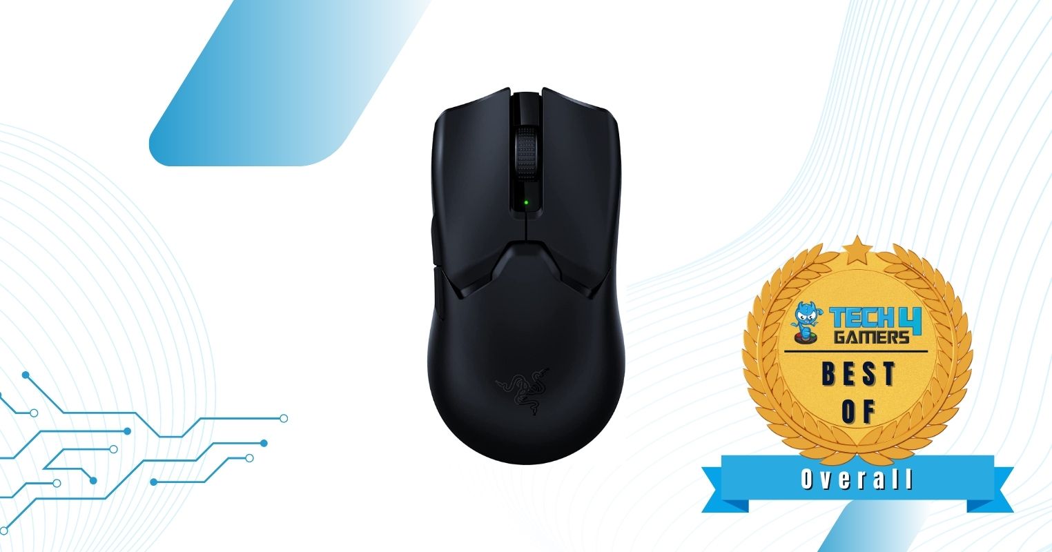 Razer Viper V2 Pro - Best Overall Palm Grip Gaming Mouse