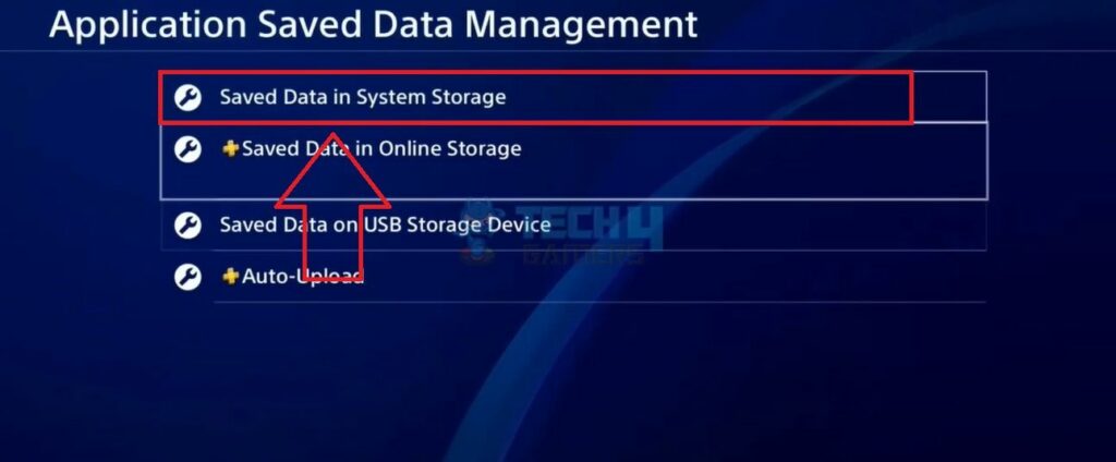 Choose Saved Data In System Storage