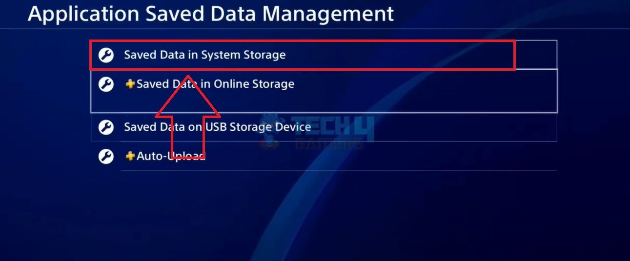 Saved Data In System Storage