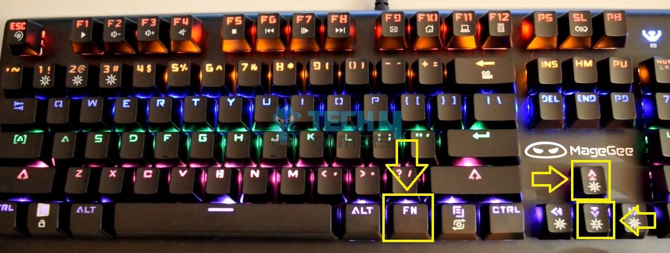 Fn and Up/Down Keys