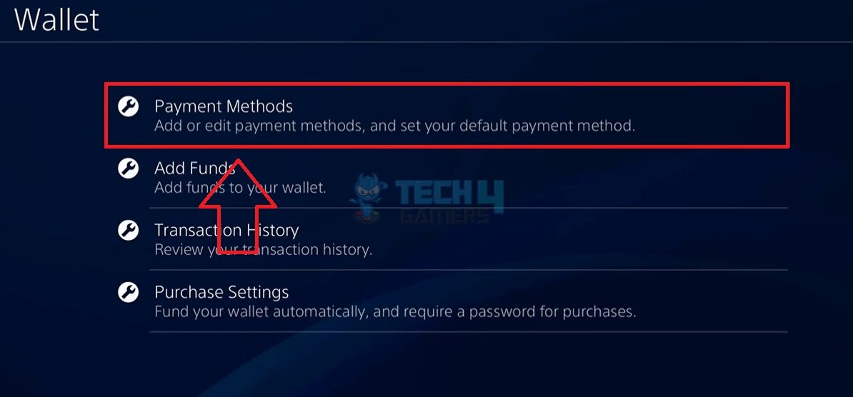 Payment Methods Option In Wallet