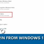 HOW TO REMOVE PIN FROM WINDOWS 11