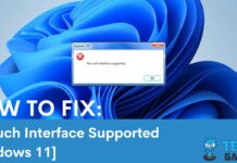 No Such Interface Supported