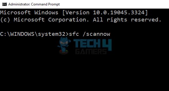 Enter after copying and pasting sfc /scannow into the text box.