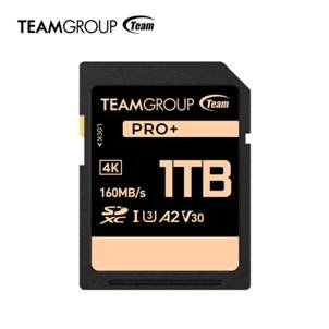 TEAMGROUP PRO+ SDXC