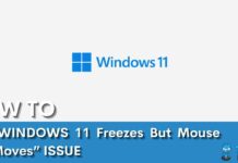 Windwos 11 Freezes But Mouse Still Moves