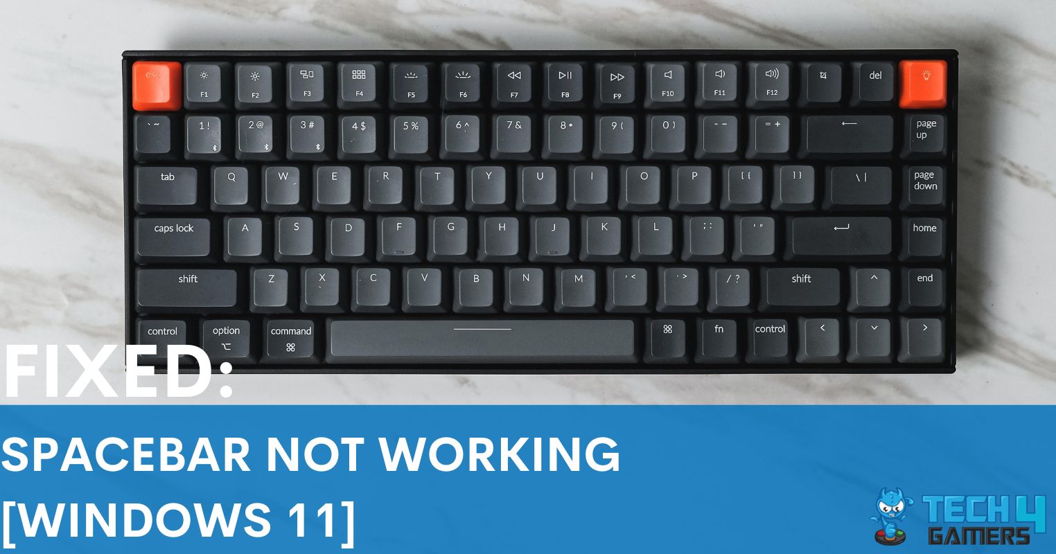 How To Fix Spacebar Not Working In Windows 11 Tech4Gamers