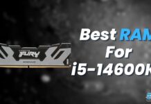 Best RAM For i5-14600KF