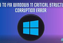 Critical Structure Corruption Windows 11