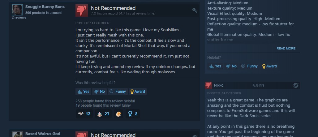 Lords of the Fallen Negative Reviews