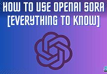 use OpenAI Sora