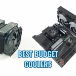 best budget coolers