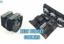 best budget coolers