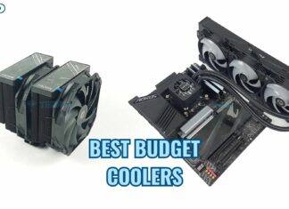 best budget coolers