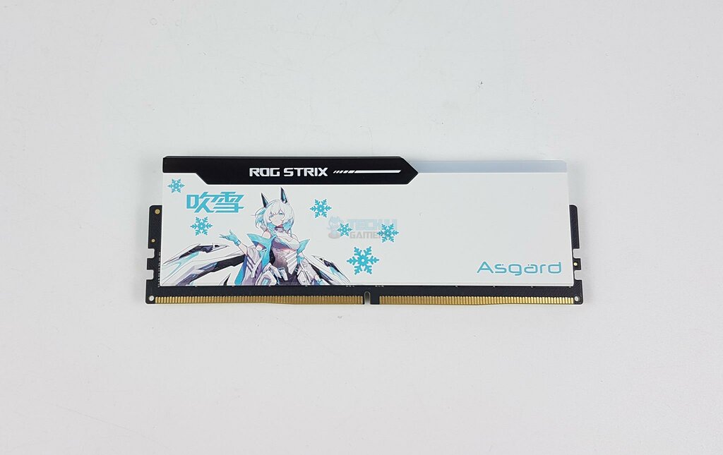 Asgard BRAGI ROG Strix RGB 32GB DDR5 @ 7200MHz CL34 - Rear View