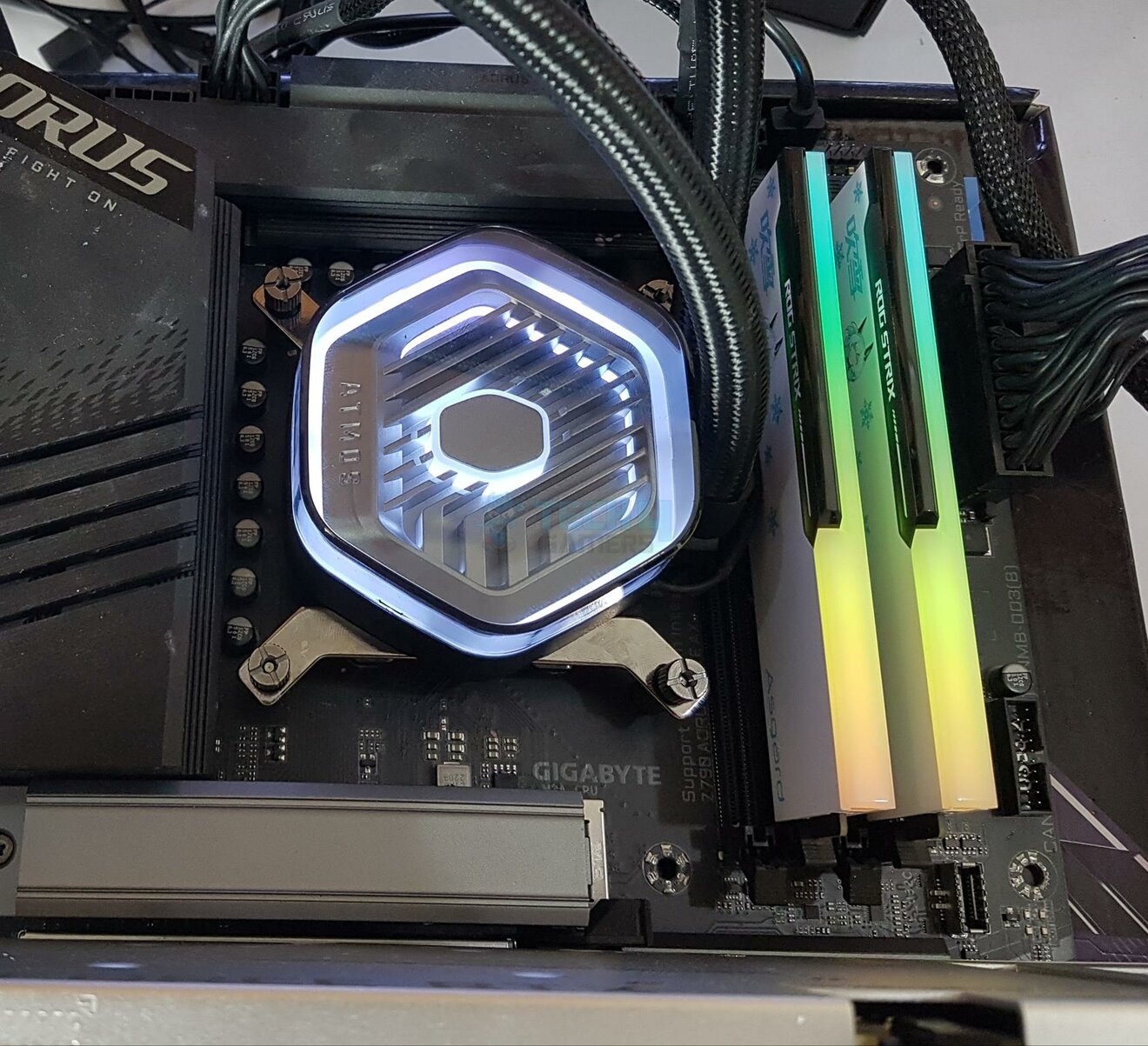 I Tested The Best CPU Coolers For Ryzen 5 9600X - Tech4Gamers