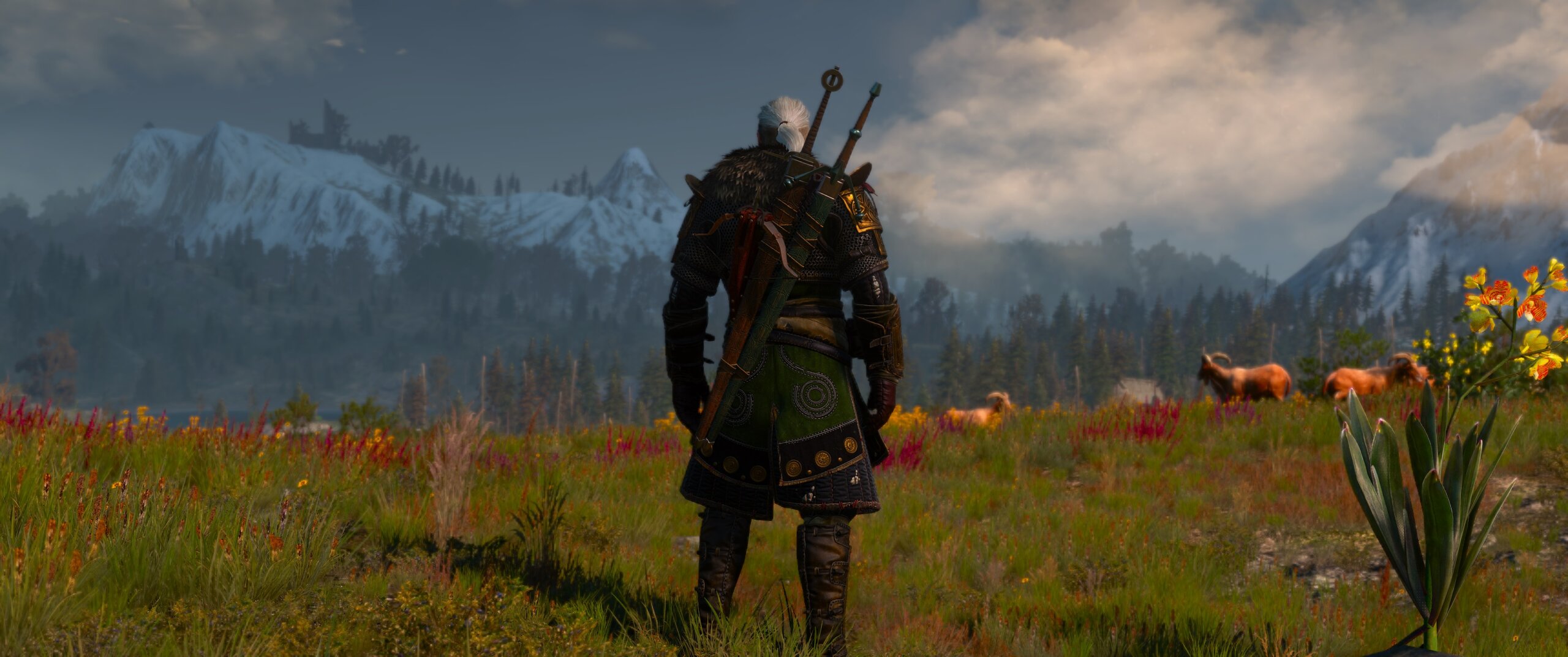 The Witcher 3