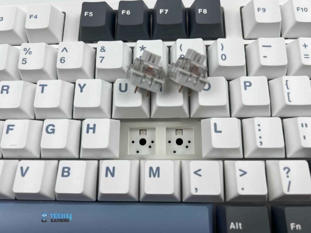 Compatibility With 3-pin and 5-pin Switches (Image By Tech4Gamers)