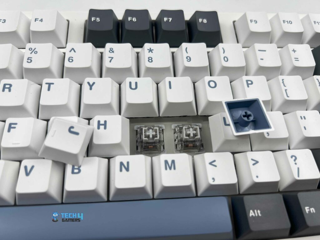 Keycaps (Image By Tech4Gamers)