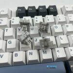 Switches (Image By Tech4Gamers)
