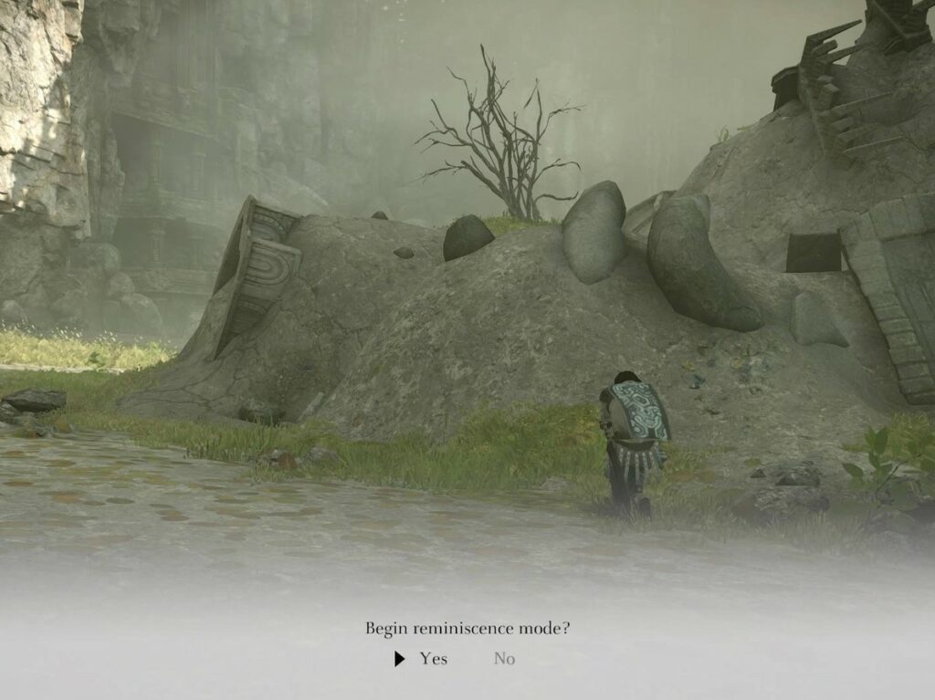 Dead Colossi Shadow Of The Colossus