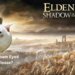 Shadow of the Erd Tree