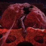 Elden Ring Shadow of The Erdtree Is Here And 62% Players Can’t Play It Miquella's Hand