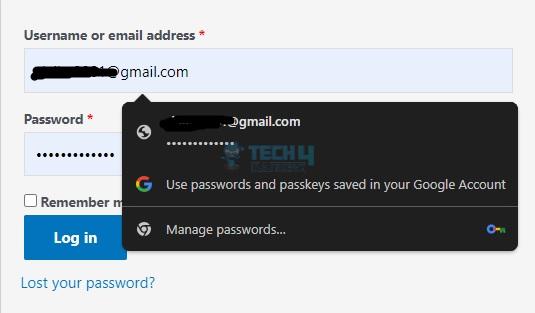 Google Password Manager Automatically Enters Credentials