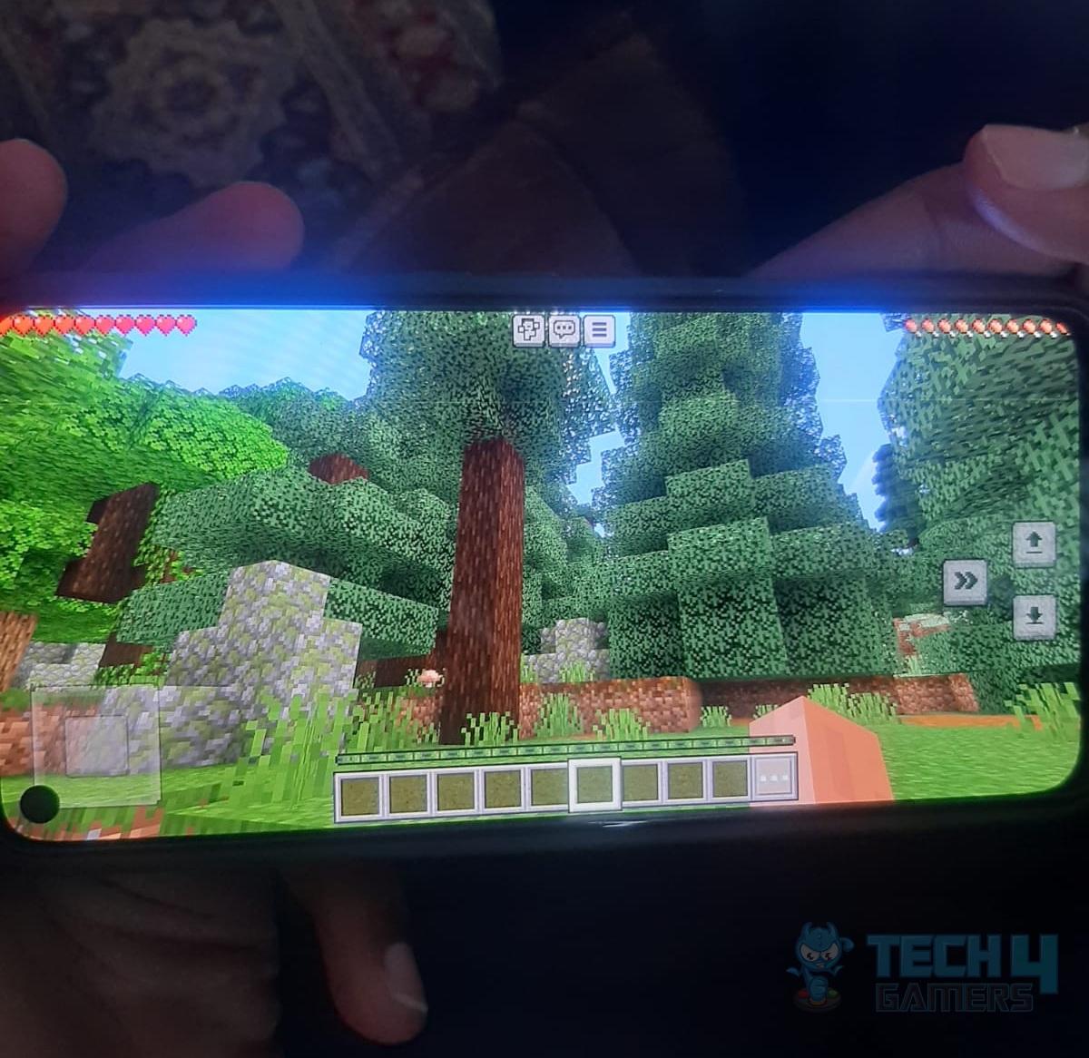 Minecraft Mobile