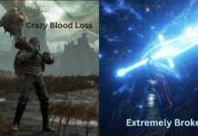 These Builds Will Make Shadow of The Erdtree Way Easier For You Shadow of The Erdtree Cheese Build