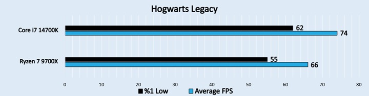  Hogwarts Legacy