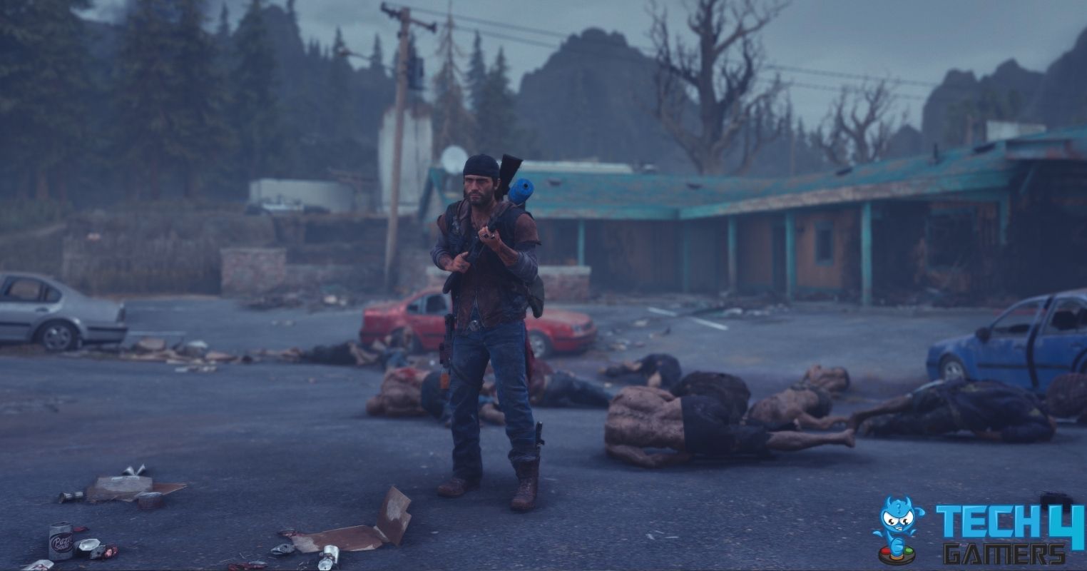 Environment In Days Gone