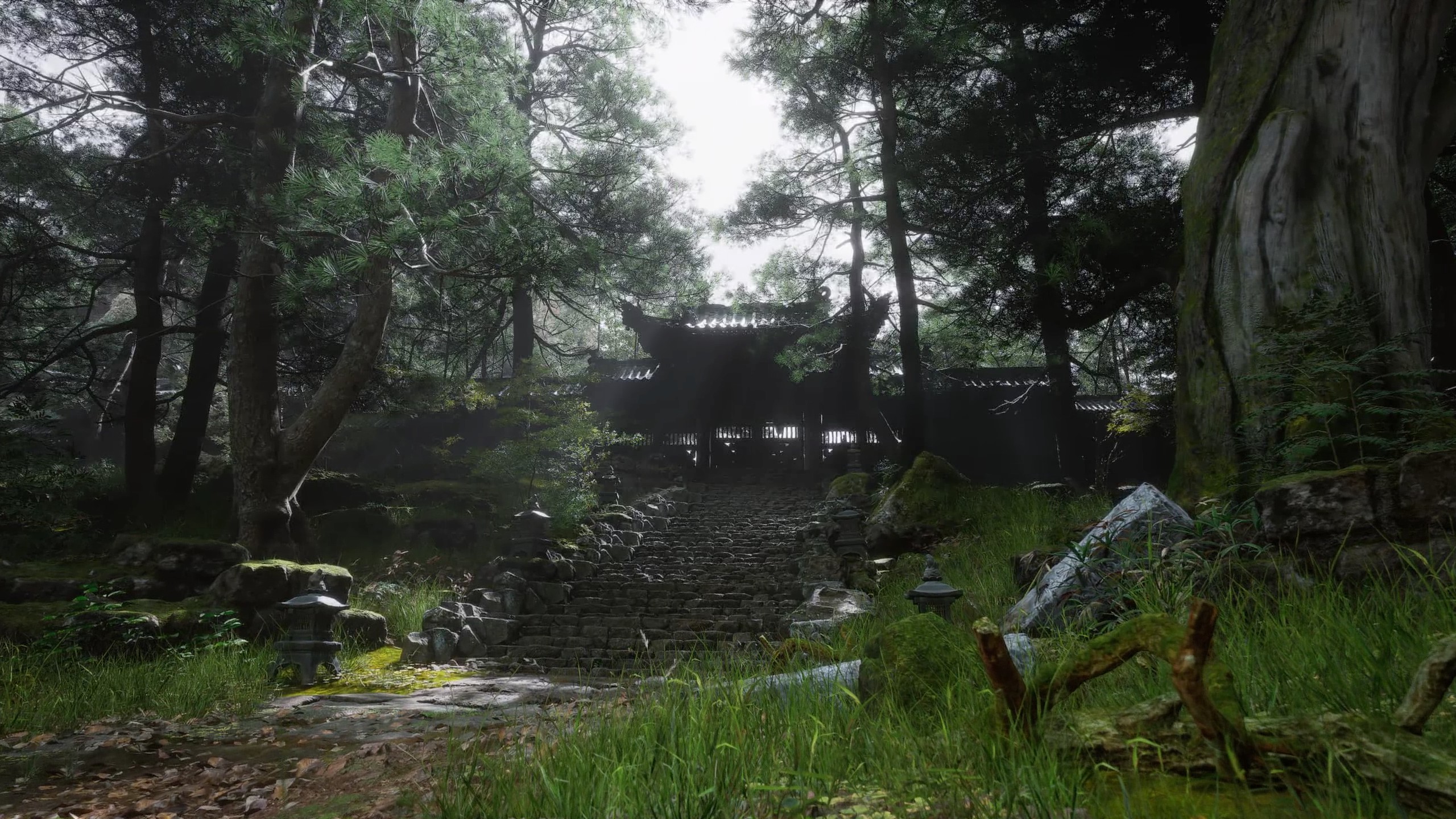 Black Myth: Wukong Stunning Environments