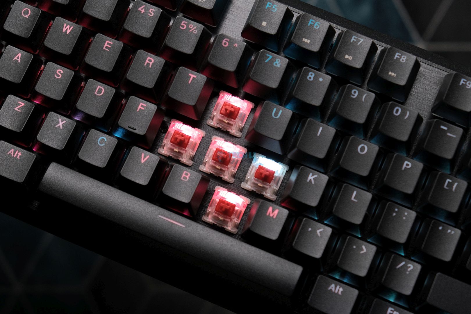 The MLX Plasma switches inside the Corsair K70 Core TKL Wireless