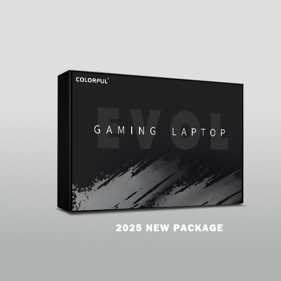 COLORFUL X15 XS Gaming Laptop 