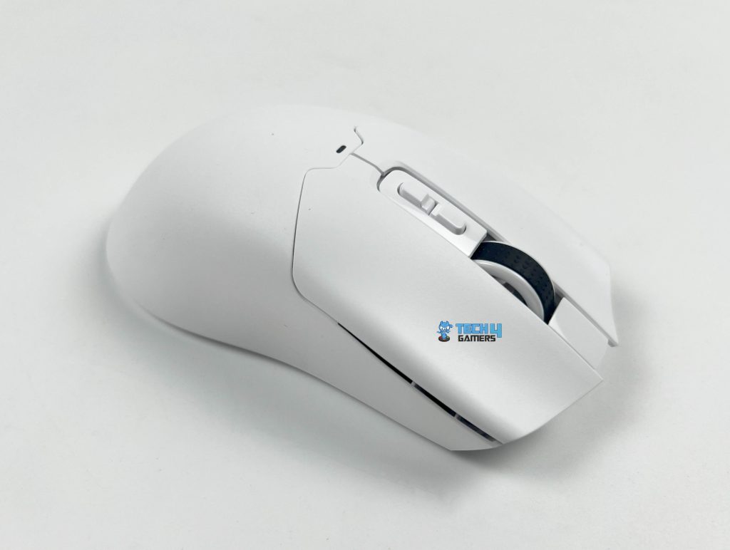 Scroll Wheel (Image by T4G)