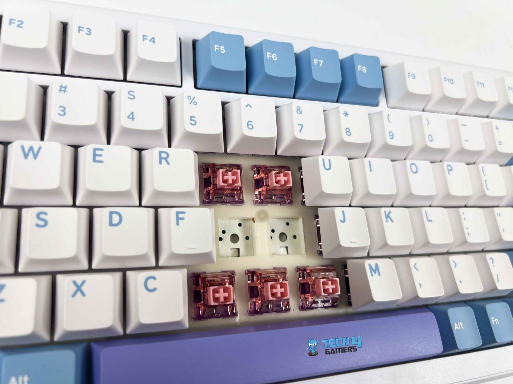 3-pin and 5-pin Compatibility (Image by T4G)