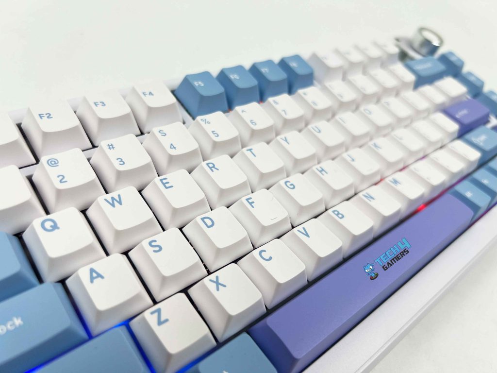 Keycaps (Image by T4G)