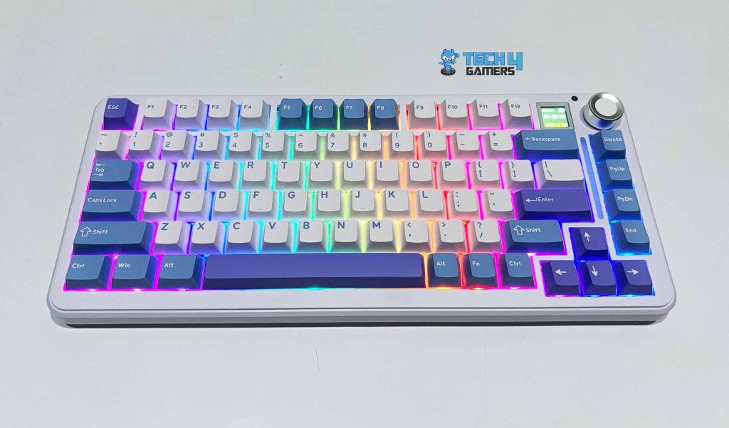 RGB Lighting (Image by T4G)